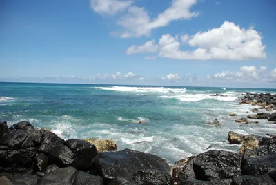 2007_05_30_HAWAII (45) (Large).JPG